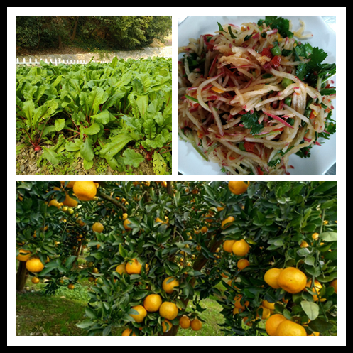 1543540440296790.bmp untitled.bmp