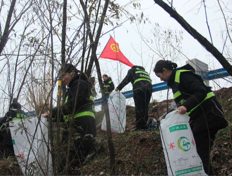 1552026092105182.png QQ图片20190308141901.png