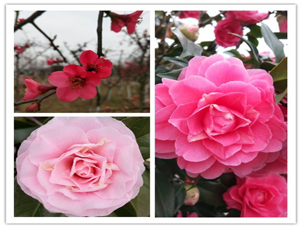 1552469618610879.jpg 1副本.jpg