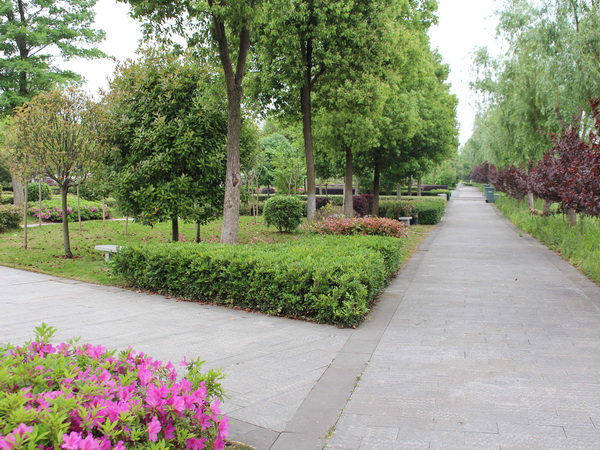 1557196488127507.jpg 13.jpg