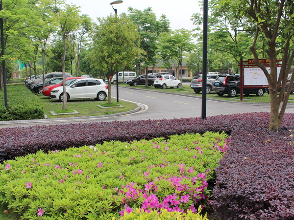 1557196554565652.jpg 14.jpg