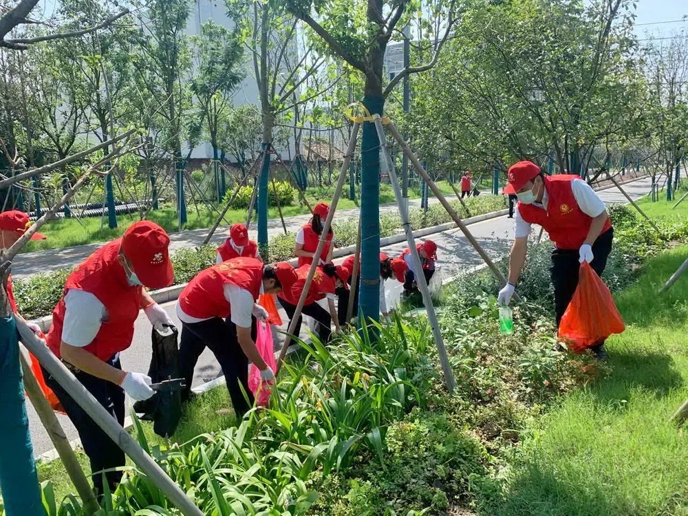 1609378216896136.jpg 17.webp.jpg