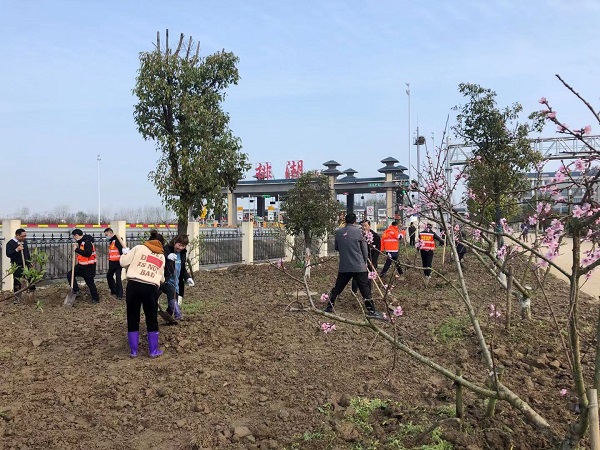 1615876115669488.jpg 1.1.jpg