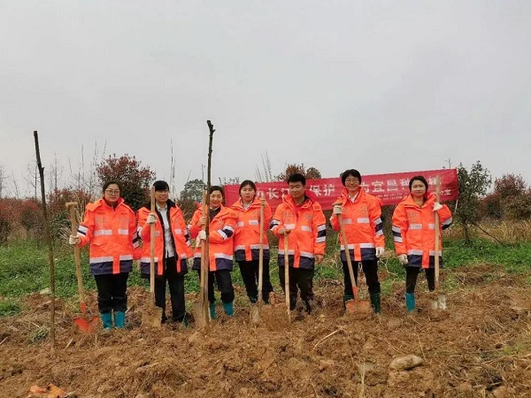 1615876446413535.jpg 3.1.jpg