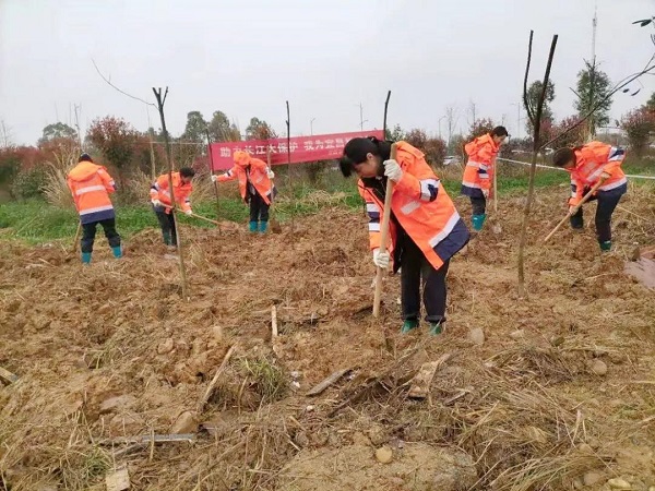 1615876484453081.jpg 3.2.jpg