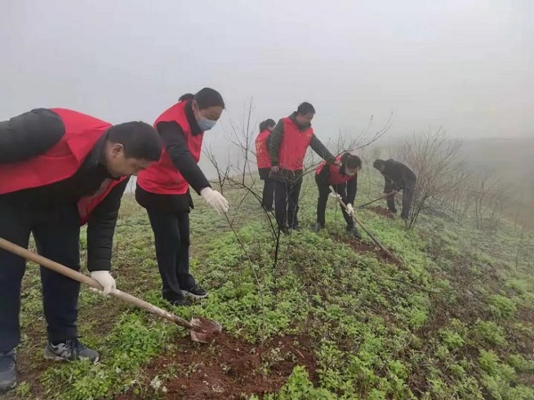 1615876557121629.jpg 4.1.jpg