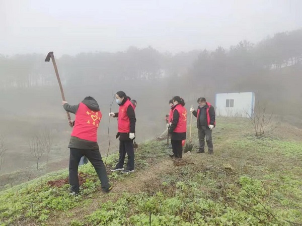 1615876576270669.jpg 4.2.jpg